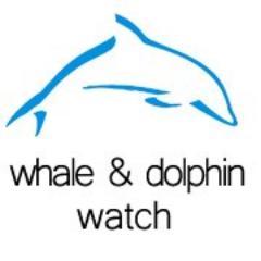 Whale_Dolphins's profile picture. Stop 20 years of Whale & Dolphin killing by Navy sonar testing..Sign the petition now! http://t.co/Viu0P3Uaqw More info at: http://t.co/Os4zcgNqVg