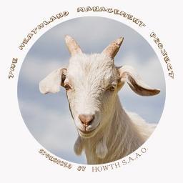 Goats for Howth is an innovative and exciting new project. The main aim of the project is to show the benefits of goat grazing in managing scrub and heathland.
