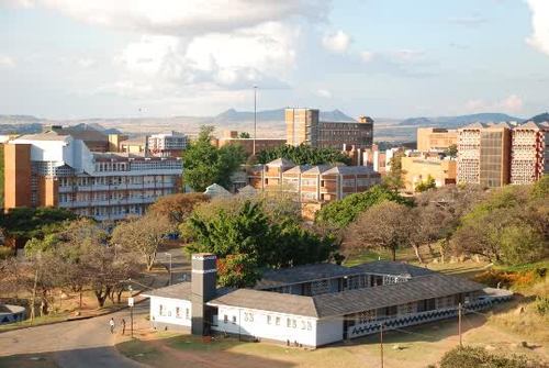 Muzlino's profile picture. I'm a fisherman