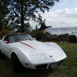 retired(runover)HeavyHwyTrafficManager,worship my 78Vette,lived ontheroad 27years ,bought afarm,foster home for cats
