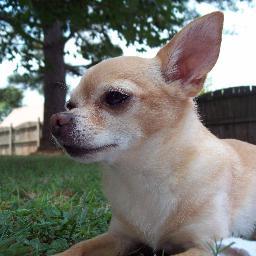 rbrumlow's profile picture. 