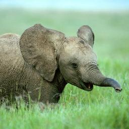 SaguaroQueen's profile picture. La Esposa del Señor Joven y Gato Mamá 🏜🐈