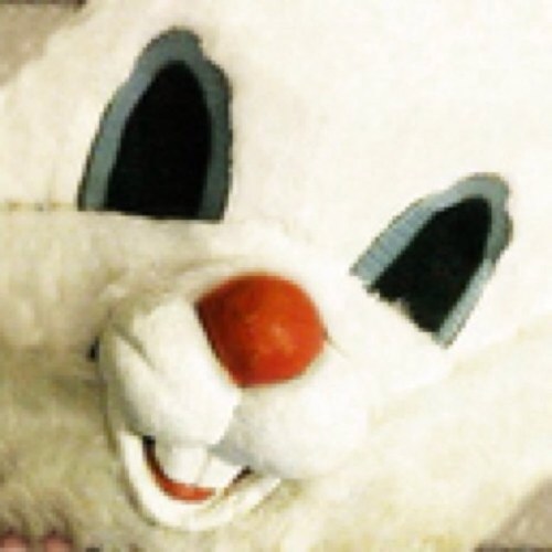 invite_bunny's profile picture. Potential Church's Original & Official Invite Bunny!