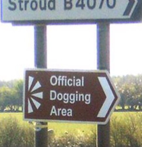 doggingplaces Profile Picture