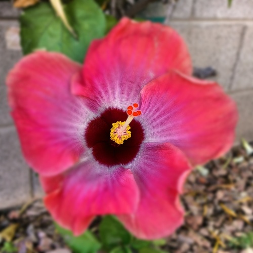 azk80k8's profile picture. 