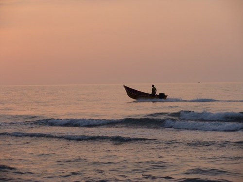 mrsaied's profile picture. بني ادم اظاى يك ديگرند