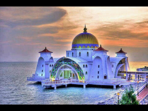 QnetUAE's profile picture. 