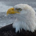 Erik Morse - @Emorse13 - Twitter