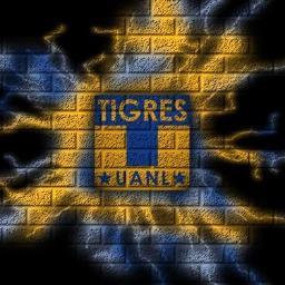 Milton90749189's profile picture. 