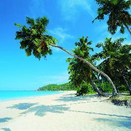 brianpalmira's profile picture. I am a reasonably cool dude.