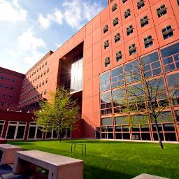 SpottedBicocca's profile picture. 