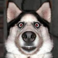 SIGO TODOS DE VOLTA E INDICO.
AQUI VOCÊ ENCONTRARÁ TODOS OS CONTEÚDOS DE HUMOR.