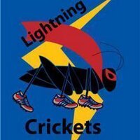 Lightning Crickets (@lightncrickets) 's Twitter Profile