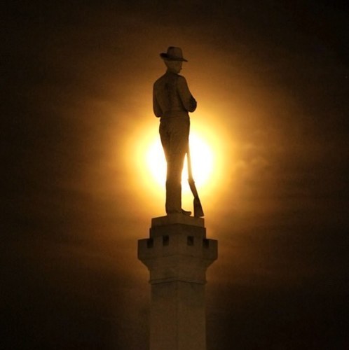 FranklinTn360's profile picture. Westhaven mom of three. Works in downtown Franklin, Tn.