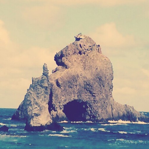 ditkje's profile picture. 