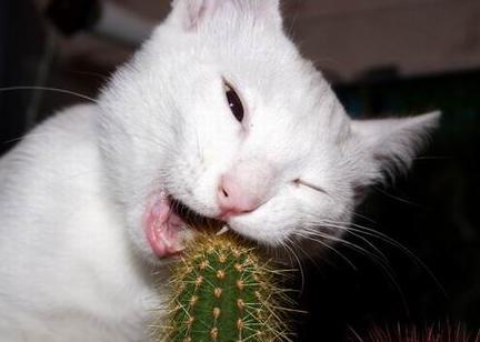 seaklearn's profile picture. 