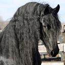 abdo_aly - @abdo_aly1 - Twitter