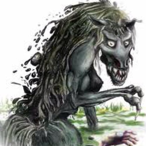 Tottenhamkelpie's profile picture. 