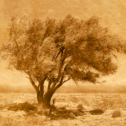 Peter_Schwartz's profile picture. 