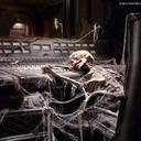 Angel Alt - @AltAngel6 - Twitter