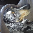 Derek Babcock  - @bangorfire2300 - Twitter