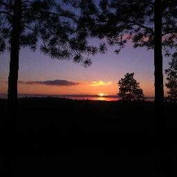 PrimeFlatbed's profile picture. 