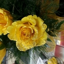 Joey Jensen - @jmjen12 - Twitter