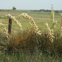 Tracy Buxton - @no3quilter - Twitter