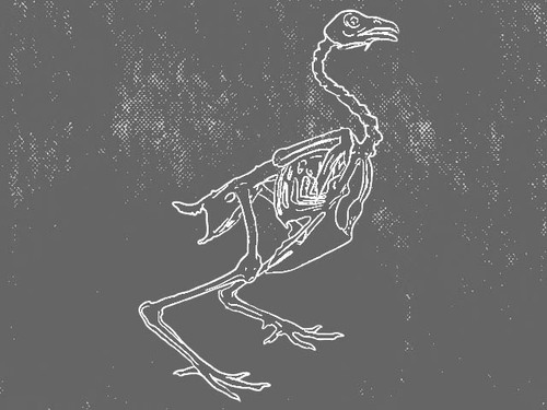 LeandroBento's profile picture. digital and analogical artist - digging cultural artifacts