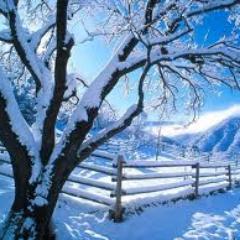 Inspirationscal's profile picture. 