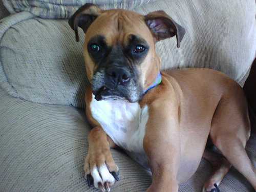 branchmanager48's profile picture. 