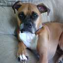 Penny Wolf - @branchmanager48 - Twitter