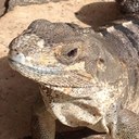 Gary Goforth - @garyg568 - Twitter