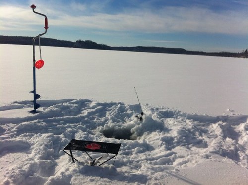 jlife1212's profile picture. 