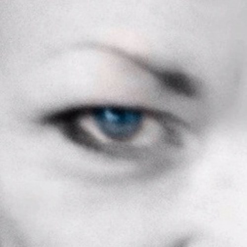 bridgettel11's profile picture. 