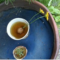 문도연 (@marlonadd) 's Twitter Profile