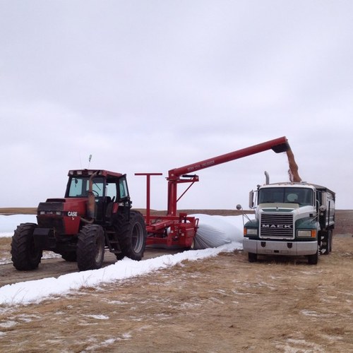 JamieBenko's profile picture. 