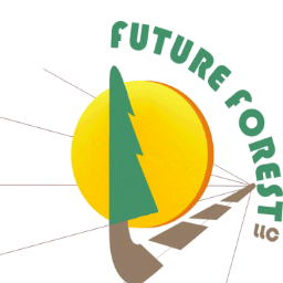 White Mountain Stewardship helps restore acres of ponderosa pine forests in the Apache-Sitgreaves National Forest (ASNF).
