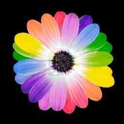 whitney_schip15's profile picture. Live by faith, not by sight.