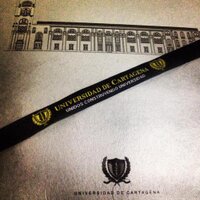 Unidos Const. UDC (@construyendoudc) 's Twitter Profile
