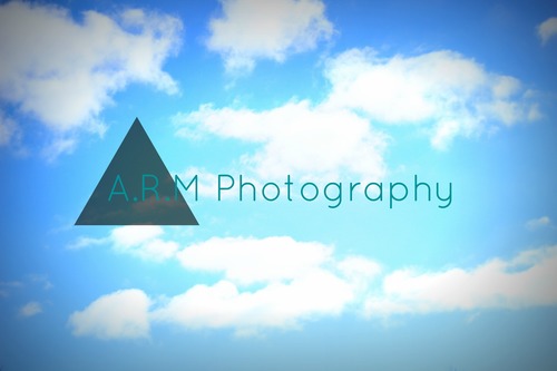ARMphotographyx's profile picture. Just a normal teen with big dreams!! Follow me for updates on A.R.M Photography and great tweets!! Follow my personal account @xxobsessionx