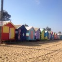 terri mcfarlane - @tezmcf - Twitter