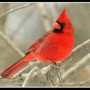 Davide Vigano - @healthpilot - Twitter