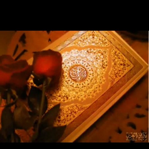 tego1391's profile picture. 