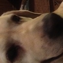 lucille olson - @lucio427 - Twitter