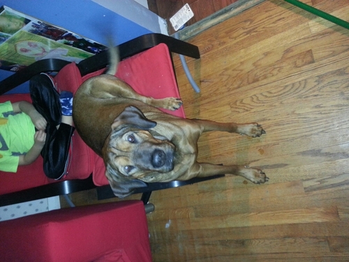 spittman1199's profile picture. 