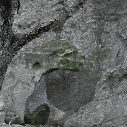 joarguim's profile picture. 