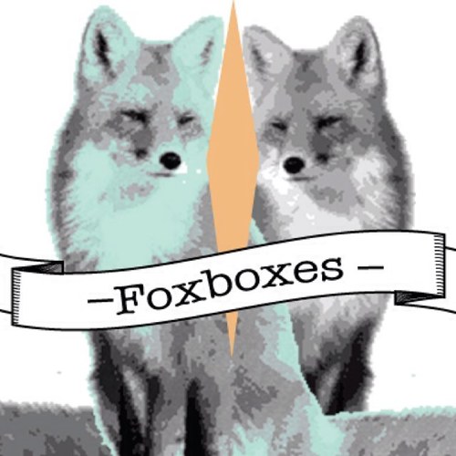 Foxboxes is Bethany Putnam and Dayna Melton, friends and roommates. Foxboxes are vintage inspired flasks made from old magazine images and atlas maps.
