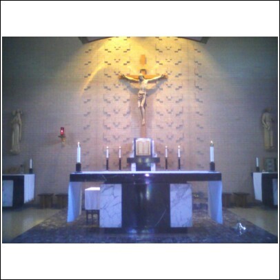 StJohnsNewman's profile picture. 