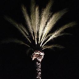 whymovieworks's profile picture. I write about movies that work.  And sometimes about those that don't. http://t.co/BwnaC9wLBa